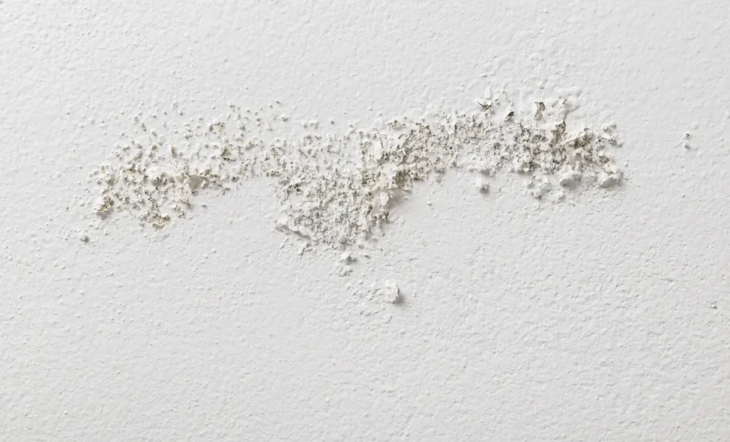 Revestimiento para paredes con humedad: ¿Cuál es el mejor para una solución definitiva?